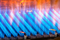 Burwick gas fired boilers